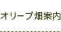オリーブ畑案内