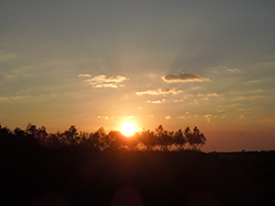 夕日