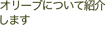 オリーブについて紹介します