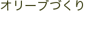 オリーブづくり