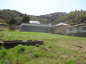 寺の下オリーブ畑