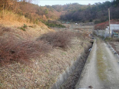 開墾途中の常楽防オリーブ畑の南側