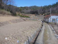 開墾終了した常楽防オリーブ畑の北側