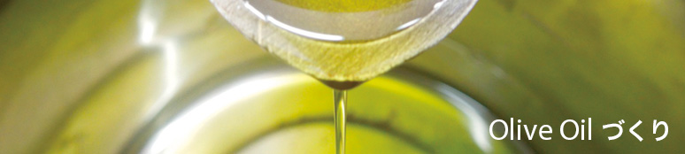 Olive Oil づくり