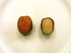 果肉の色を確認します